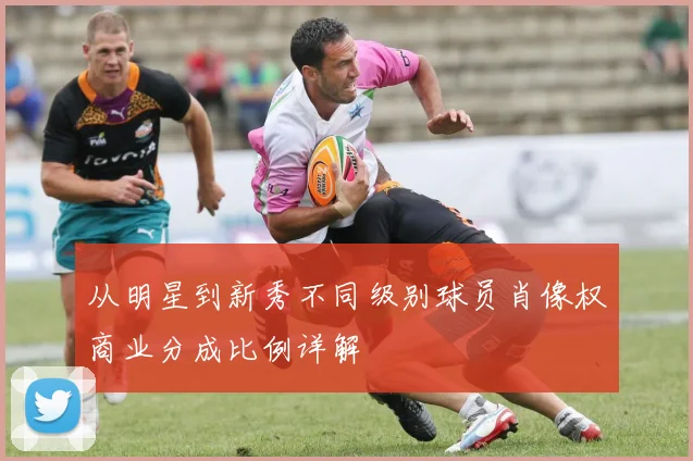 从明星到新秀不同级别球员肖像权商业分成比例详解