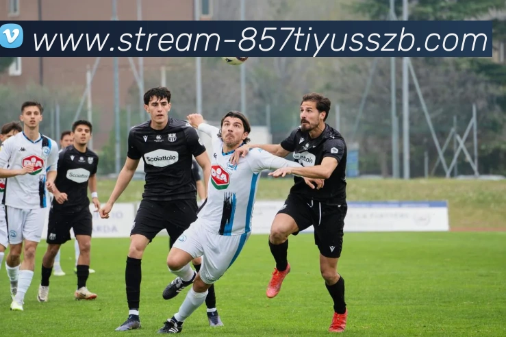 857体育赛事直播平台生态图